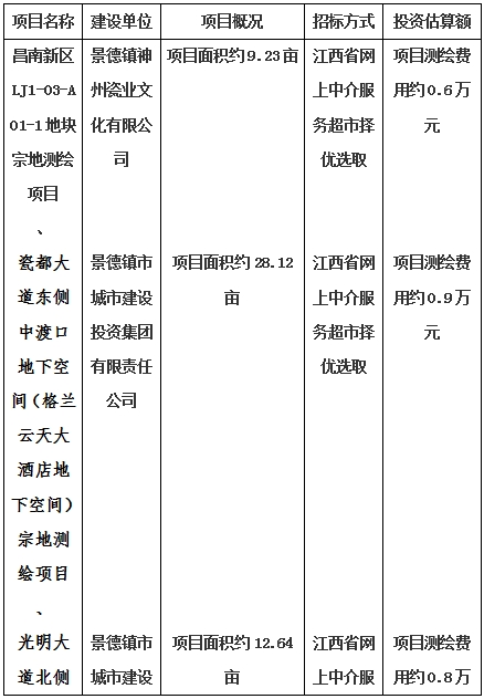 景德鎮(zhèn)市昌南新區(qū)LJ1-03-A01-1地塊、瓷都大道東側(cè)中渡口地下空間（格蘭云天大酒店地下空間）、光明大道北側(cè)利民路西側(cè)地下空間（青少年宮地下空間）、規(guī)劃二路北側(cè)地下空間地塊二（加速基地地下空間）、規(guī)劃二路北側(cè)地下空間地塊一（加速基地地下空間）、景德大道南側(cè)天寶橋西側(cè)地塊、景興大道東側(cè)如意路北側(cè)地下空間(社會(huì)公共服務(wù)