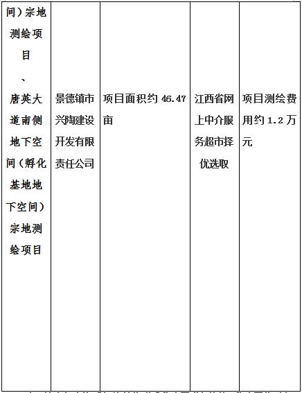 景德鎮(zhèn)市昌南新區(qū)LJ1-03-A01-1地塊、瓷都大道東側(cè)中渡口地下空間（格蘭云天大酒店地下空間）、光明大道北側(cè)利民路西側(cè)地下空間（青少年宮地下空間）、規(guī)劃二路北側(cè)地下空間地塊二（加速基地地下空間）、規(guī)劃二路北側(cè)地下空間地塊一（加速基地地下空間）、景德大道南側(cè)天寶橋西側(cè)地塊、景興大道東側(cè)如意路北側(cè)地下空間(社會(huì)公共服務(wù)